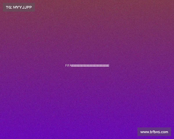 FIFA世界杯福伊特防线核心表现与阿根廷征程回顾解析深度分析